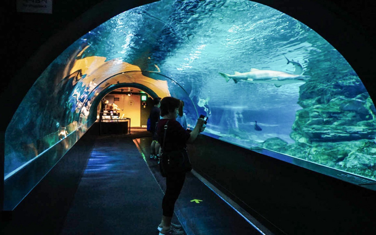Aquarium marin La Rochelle Parcs de vacances
