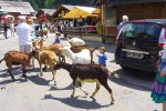 Lindarets 7 Portes du soleil vakantie bij Avoriaz en Morzine geitendorp village des chevres.jpg