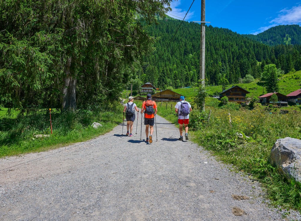 Bergdorpen 1 Alpen Portes du Soleil vakantie Frankrijk.jpg