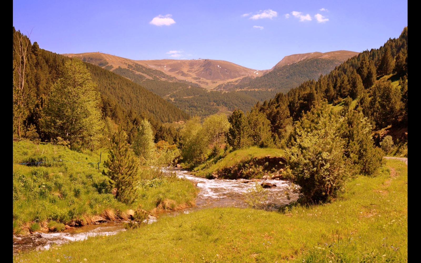 Pyrenees