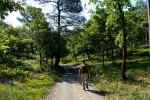 Landes 10 parc naturel Gascognes Frankrijk vakantie regio luxe villa toerisme bos wandelen fietsen.j