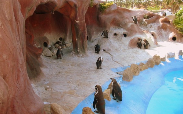 Marineland 3 Villa's du Verdon Frankrijk Provence Antibus vakantiehuis pinguins dieren dolfinarium.j
