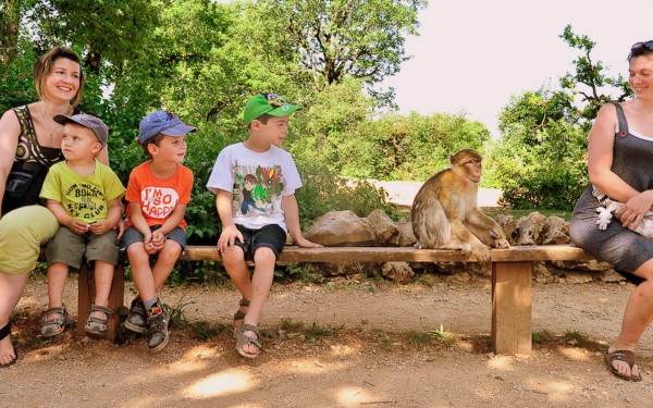 Apen Rocamadour 9 Frankrijk Dordogne gezin singes familie monkey vakantie gezin senioren.jpg