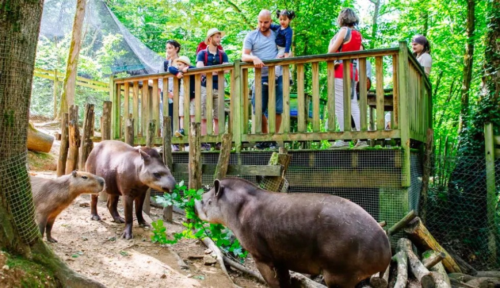 Dieren 5a1 Calviac Zoo Sarlat Frankrijk vakantie Dordogne Lot.jpg