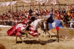 Carcassonne A7 Cite Frankrijk Languedoc cammazes carlat vakantiepark kust zee strand paard villa.jpg
