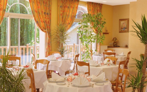 Restaurant DLF 7 Frankrijk vakantiepark diner sfeer le bois senis vakantiepark wifi.jpg