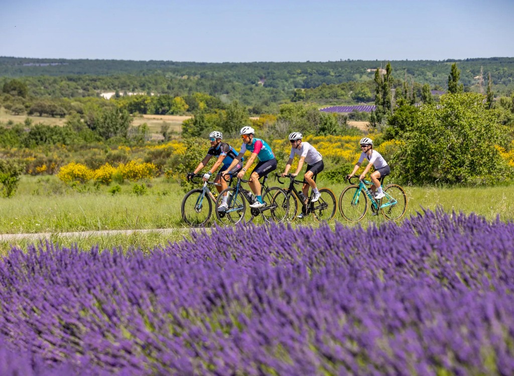 Fietsen Provence 5 lavendel ventoux verdon luberon dorpjes vakantie Frankrijk.jpg