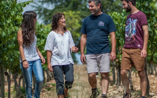 Vignoble 2 chateau vin Cahors Frankrijk vakantiepark Latuc Laur degustation vakantiehuis.jpg