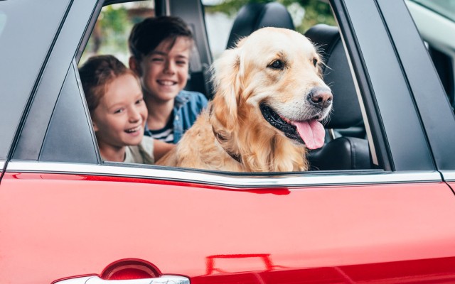 Hond 1 vakantie Frankrijk luxe villa wandelen zwemmen gezin.jpg