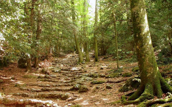 JDG St. Baume 7 Frankrijk Provence Massif Maximin Maria Magdalena wandeling bos berg klimmen vakanti