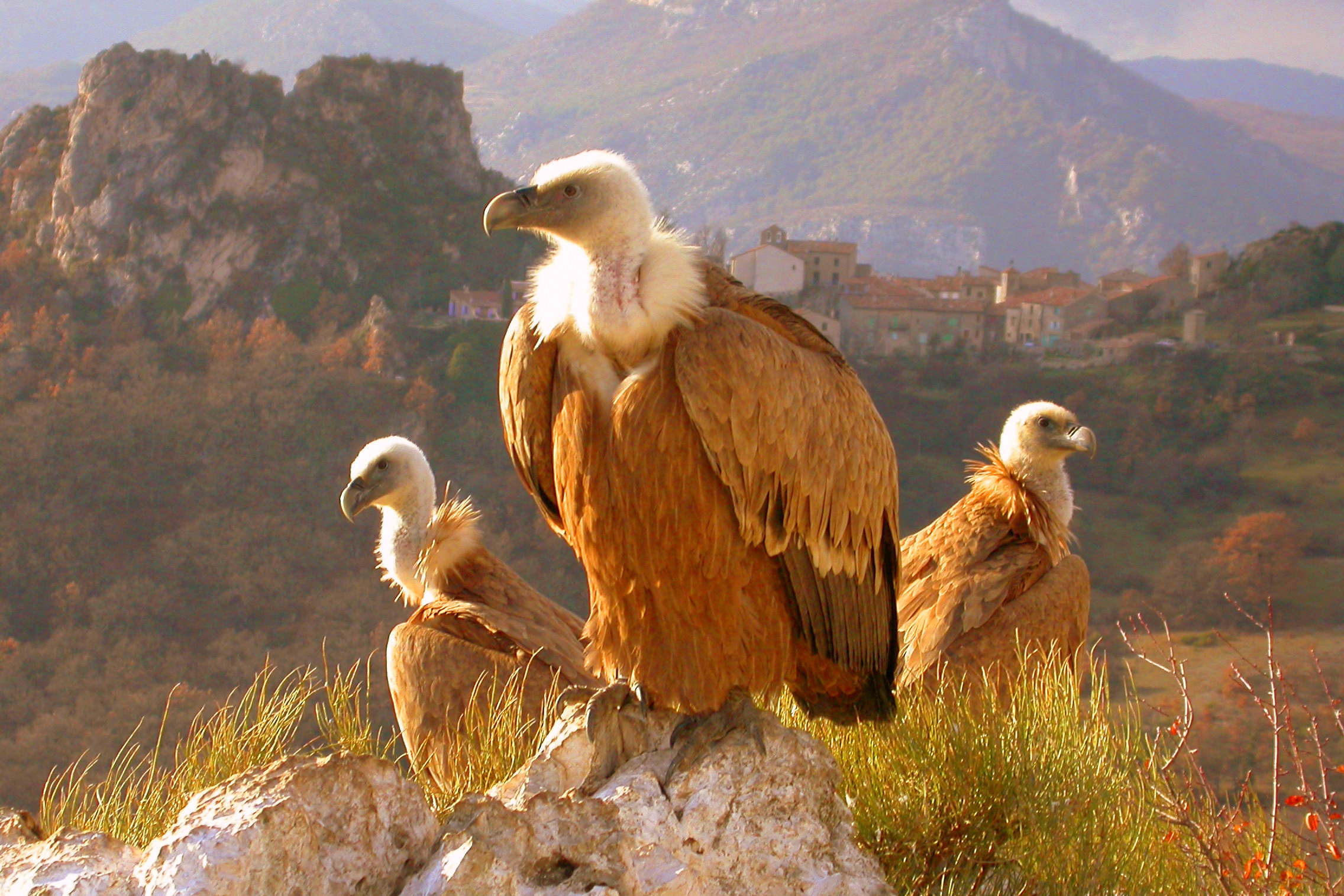 Gorges du Verdon - Francecomfort Vakantieparken