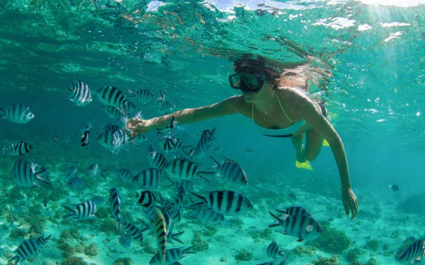 Snorkelen 9 Frankrijk diepzeeduiken diving plonger vakantie middellandse zee kust Provence.jpg