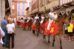 Mirepoix B19 Frankrijk Languedoc vakantiehuis luxe feest pommes paarden ariege katharen franse sfee