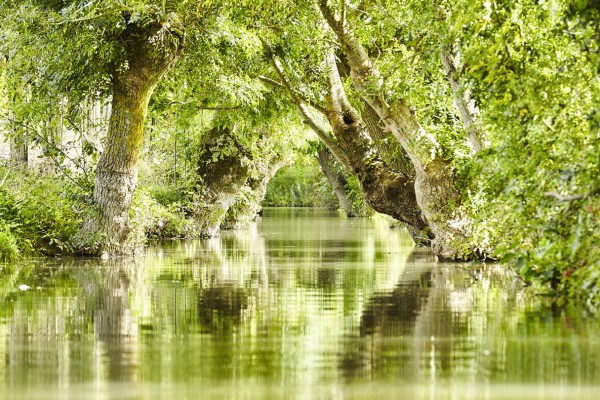 Marais 24 Poitevin Niort mouille vakantie Frankrijk moeras parc naturel coulon garette.jpg