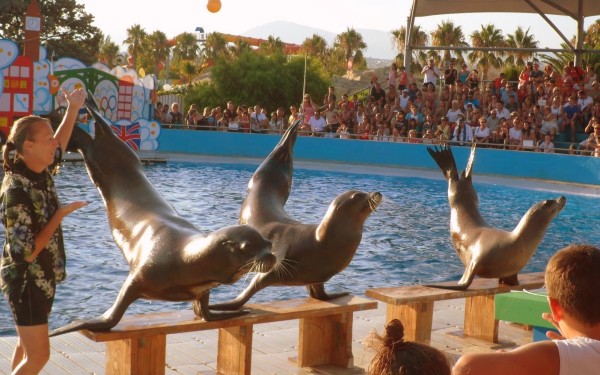Marineland 7 Villa's du Verdon Frankrijk Provence Antibus vakantiehuis zeeleeuwen attractie.jpg