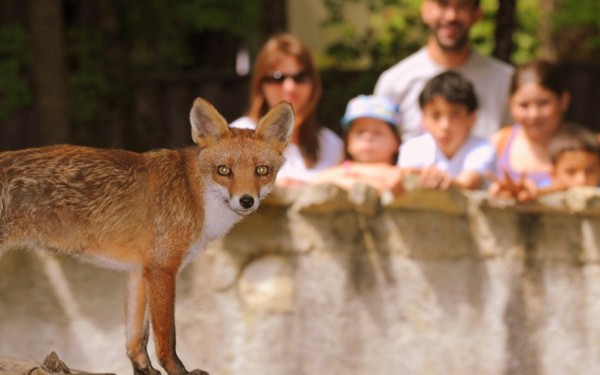 Vallee 4 des singes zoo de la palmyre zeehond luxe villa  frankrijk bois senis domaine les forges go