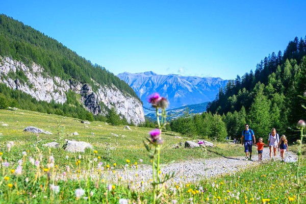 P22 Pyreneeen vallei Languedoc Frankrijk vakantie wandelen bergen natuur hiking.jpg