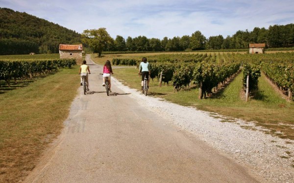 Vignoble 4 chateau vin Cahors Frankrijk vakantiepark Latuc Laur degustation velovakantiehuis velo ro