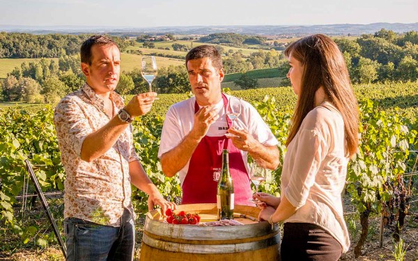 Frankrijk 1 kwaliteit label vakantie toerisme Vignobles & Découvertes wijngaard proeverij.jpg