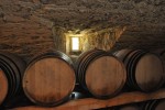 Vignoble 3 chateau vin Cahors Frankrijk vakantiepark Latuc Laur Cabanac degustation vakantiehuis.jpg