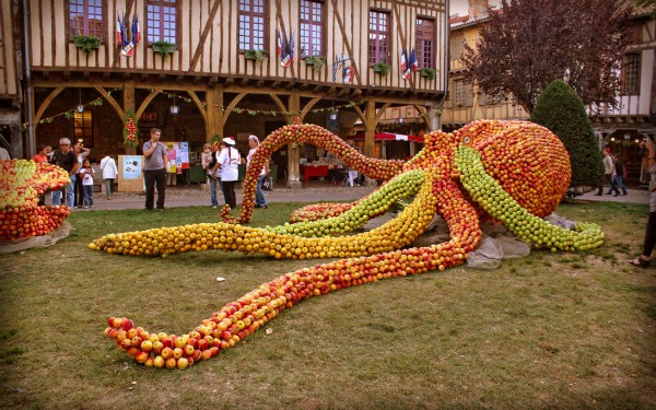 Mirepoix B13 Frankrijk Languedoc vakantiehuis luxe feest pommes katharen franse sfeer cultuur ariege