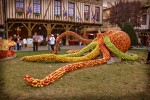 Mirepoix B13 Frankrijk Languedoc vakantiehuis luxe feest pommes katharen franse sfeer cultuur ariege