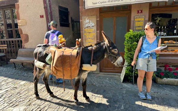 Conques Frankrijk 10 vakantie Dordogne Lot Aveyron Foy santiago compostela vakantiehuis wandelen ber