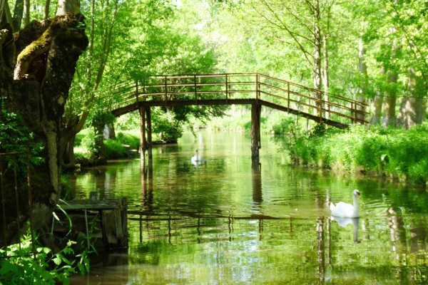 Marais 16 Poitevin Niort mouille vakantie Frankrijk moeras parc naturel coulon garette.jpg