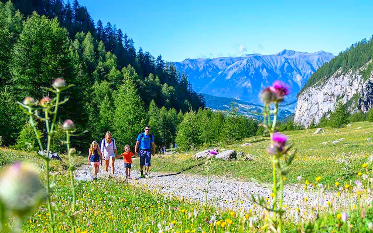 Pyreneeen In Frankrijk pyreneeen-in-frankrijk