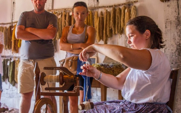 Marqueze 4 Frankrijk Gironde landes toeristentrein vakantie kinderen eco museum aquitaine.jpg