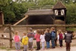 Gramat 8 Frankrijk dierenpark parc animal kinderen excursie speeltuin zwembad senioren.jpg