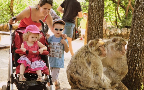 Apen Rocamadour 3 Frankrijk Dordogne gezin kinderen moeder wandelen kijken vakantiepark zwembad.jpg