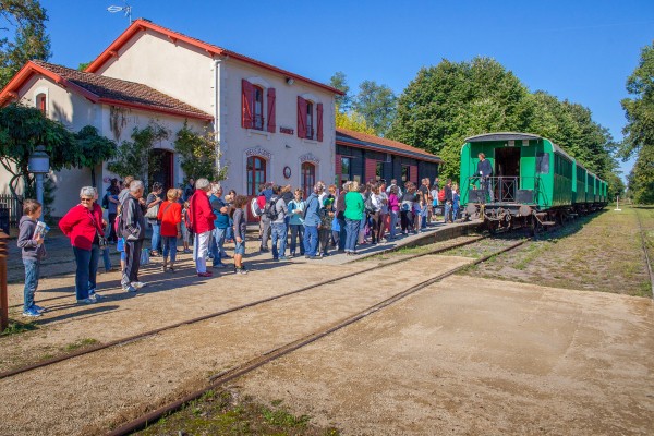 Marqueze 1a Frankrijk Gironde landes toeristentrein vakantie kinderen eco museum aquitaine.jpg