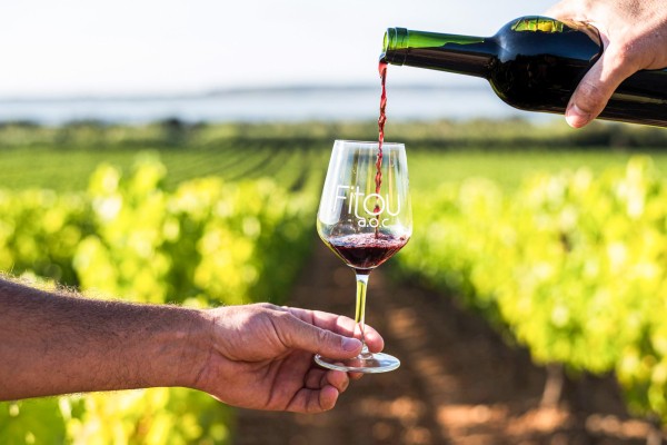 Wijn Languedoc 7 Roussillon zuid Frankrijk druiven vakantie Fitou aoc.jpg