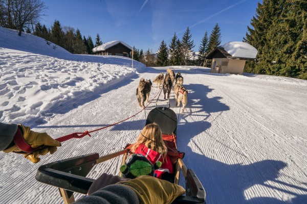 Hondenslee 4 chiens de traineux Frankrijk Alpen Portes du Soleil Abondance Odyssee Mont Blanc.jpg