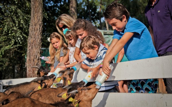 Coccinelle 21 kidparc animatie Frankrijk vakantiepark chateau de salles luxe villa kinderen.jpg