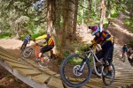 Bikepark 2 Chatel Portes du Soleil bergen Alpen vakantie mountainbike MTB ATB VTT Frankrijk.jpg