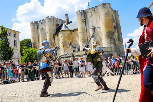 Niort 19 marais poitevin vakantie Frankrijk poitou charentes toerisme feest.jpg