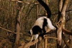 Gramat 7 Frankrijk dierentuin vakantiepark francecomfort villa zwembad internet senioren.jpg