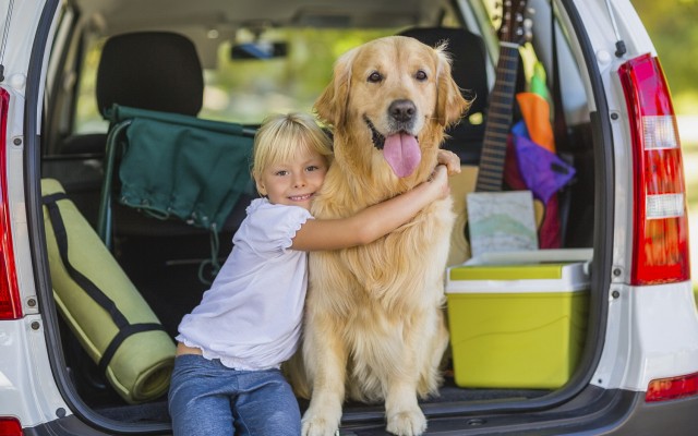 Frankrijk hond 1 vakantie in luxe villa met kinderen.jpg