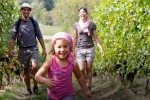Vignoble 9 chateau vin Cahors Frankrijk vakantiepark Latuc Laur degustation vakantiehuis kinderen.jp