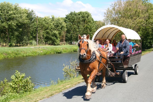 Marais 3 Poitevin Niort mouille vakantie Frankrijk moeras parc naturel coulon garette.jpg