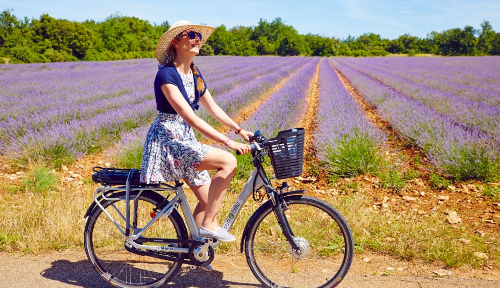FranceComfort fietsen velo cycle vakantie holida vacances Provences Lavendel.jpg