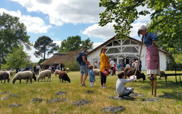 Marqueze 2 Frankrijk Gironde landes toeristentrein vakantie kinderen eco museum aquitaine.jpg