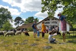 Marqueze 2 Frankrijk Gironde landes toeristentrein vakantie kinderen eco museum aquitaine.jpg