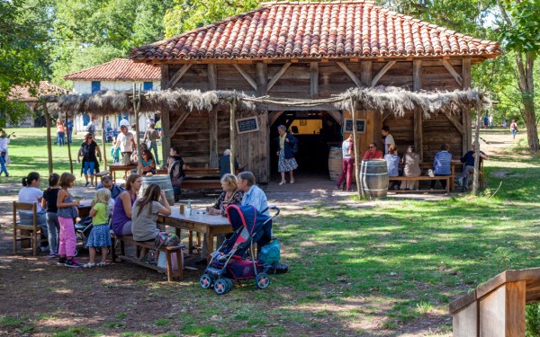 Marqueze 7 Frankrijk Gironde landes toeristentrein vakantie kinderen eco museum aquitaine.jpg