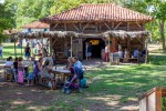 Marqueze 7 Frankrijk Gironde landes toeristentrein vakantie kinderen eco museum aquitaine.jpg