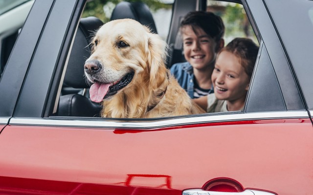 Frankrijk hond 5 in de auto met kinderen op vakantie in  de Dordogne.jpg