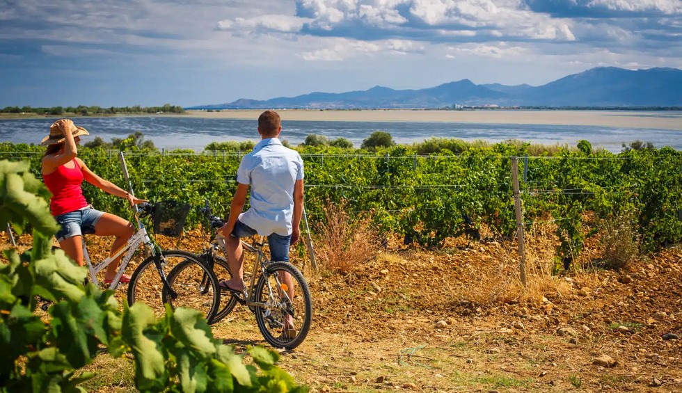Fietsen Languedoc 12 vakantie in Frankrijk in luxe villa.jpg