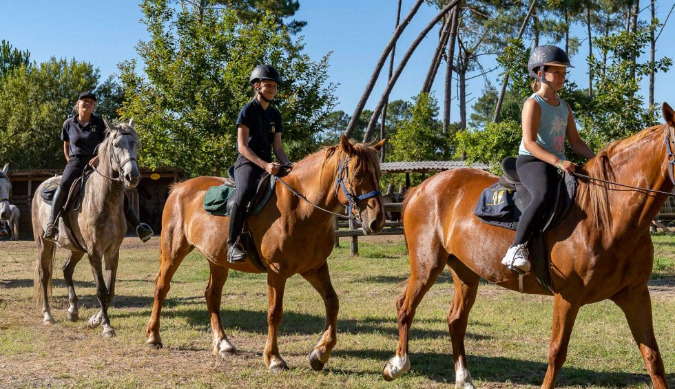 Paarden 1 vakantie Frankrijk Dordogne luxe vakantiehuis zwembad animatie.jpg